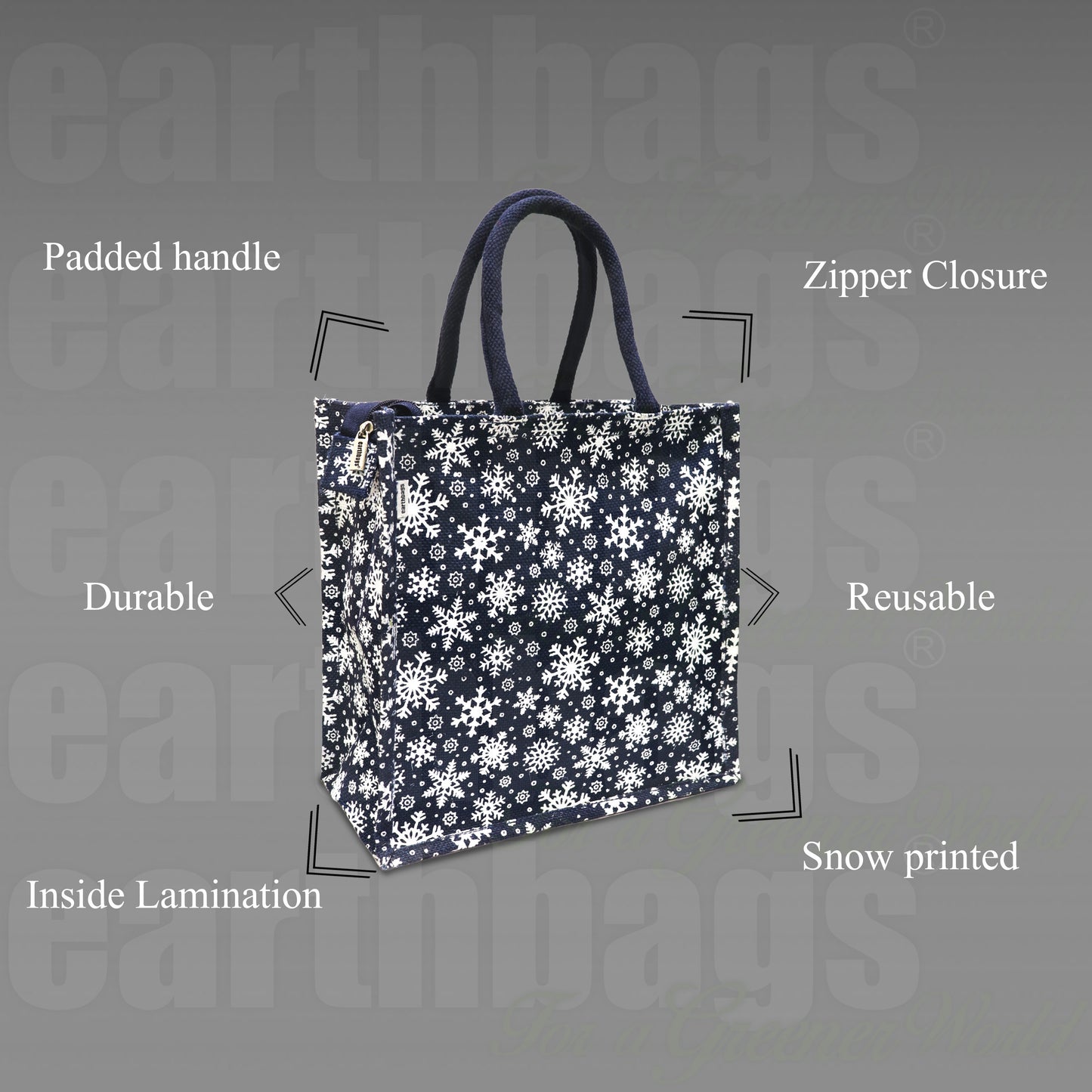 EARTHBAGS SNOWFLAKE LUNCH BAG WITH ZIPPER